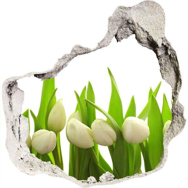 Samolepící nálepka na zeď Bílé tulipány nd-p-40774643