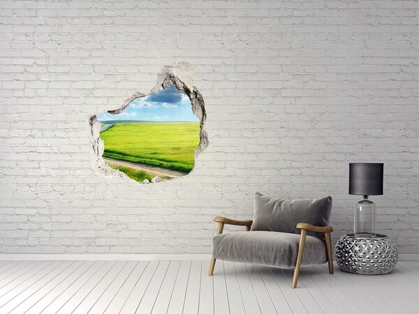 Díra 3D ve zdi nálepka Stezka na louce nd-p-42994510