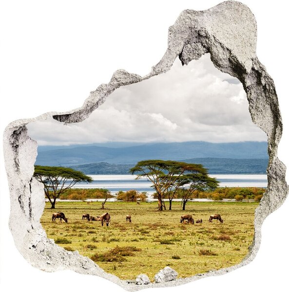 Nálepka fototapeta 3D výhled Jezero Naivasha nd-p-60219348