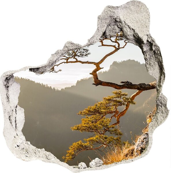 Nálepka fototapeta 3D výhled Sokolice Pieniny nd-p-59943899