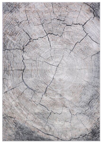 Makro Abra Moderní kusový koberec COMO RE41A Staré Dřevo šedý Rozměr: 120x170 cm