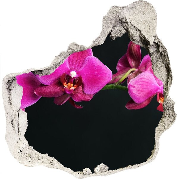 Samolepící díra nálepka Orchidej nd-p-64284743