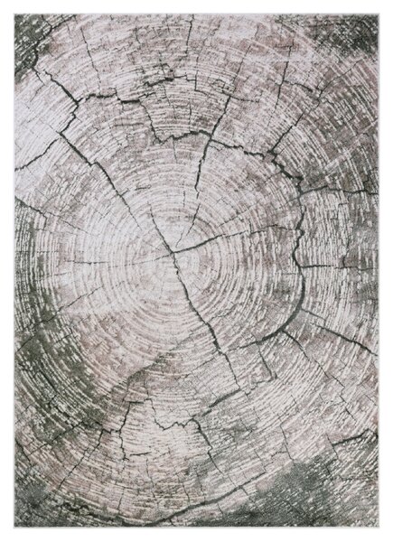 Makro Abra Moderní kusový koberec COMO RE41E Staré Dřevo světle béžový Rozměr: 160x230 cm