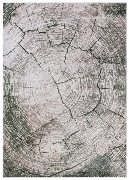 Makro Abra Moderní kusový koberec COMO RE41E Staré Dřevo světle béžový Rozměr: 160x230 cm