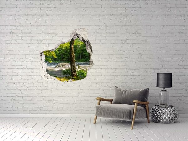 Nálepka fototapeta 3D výhled Řeka v lese nd-p-66915556