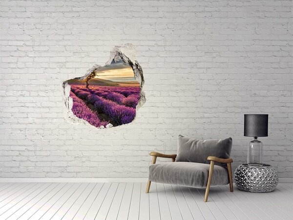 Nálepka fototapeta 3D výhled Pole levandule nd-p-67085325