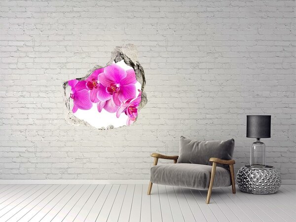 Samolepící díra nálepka Růžová orchidej nd-p-67673367