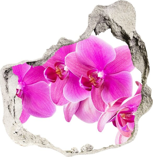 Samolepící díra nálepka Růžová orchidej nd-p-67673367