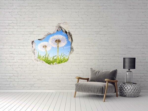 Fototapeta díra na zeď Pampelišky nd-p-68283962