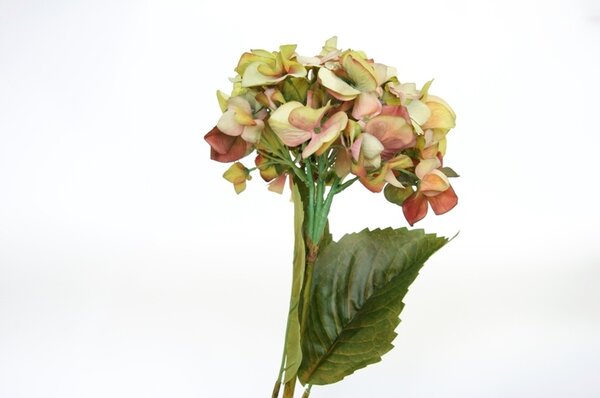 Animadecor Umělá květina - Hortenzie zelená 60cm
