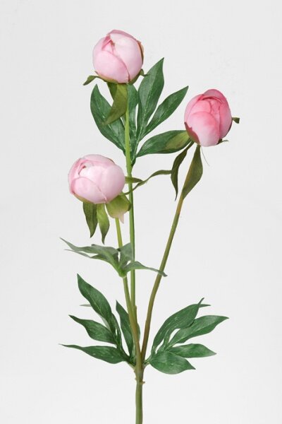 Animadecor Umělá květina - Pivoňka poupata růžová 40cm