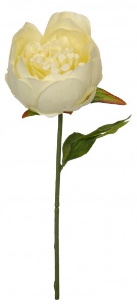 Animadecor Umělá květina - Pivoňka bílá jeden květ 29cm