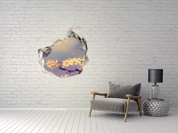 Fototapeta díra na zeď Květ višně a motýl nd-p-72331211