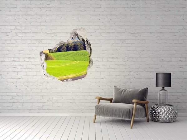 Nálepka fototapeta 3D výhled Polní cesta nd-p-72725043