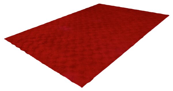 KOBEREC S VYSOKÝM VLASEM, 80/150 cm červená Kayoom - Online Only koberce & rohožky, Online Only