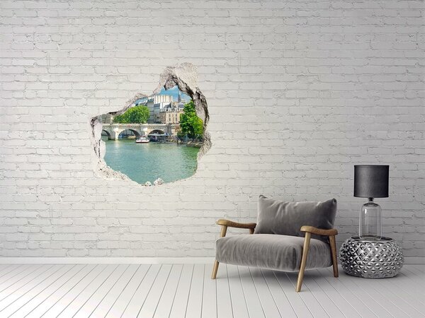 Fototapeta díra na zeď 3D Seina Paříž nd-p-73852810