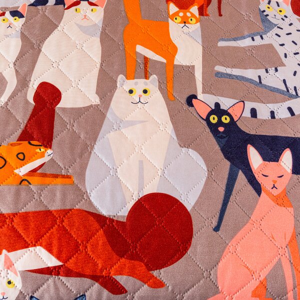 Přehoz na postel CATMOSPHERE, barevný Rozměr: 170 x 210 cm