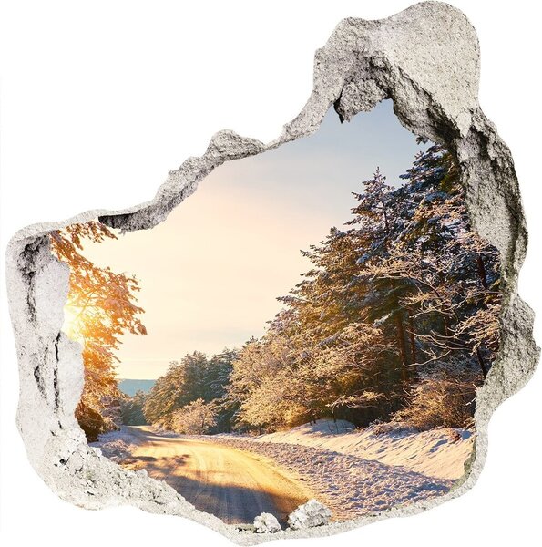 Nálepka fototapeta 3D Cesta v lese zima nd-p-77332313