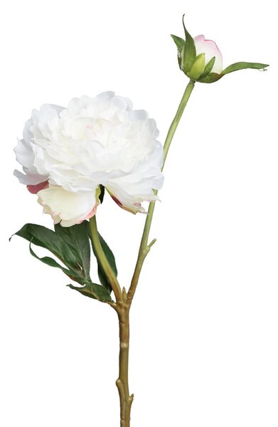 Animadecor Umělá květina - Pivoňka bílá s poupětem 35cm