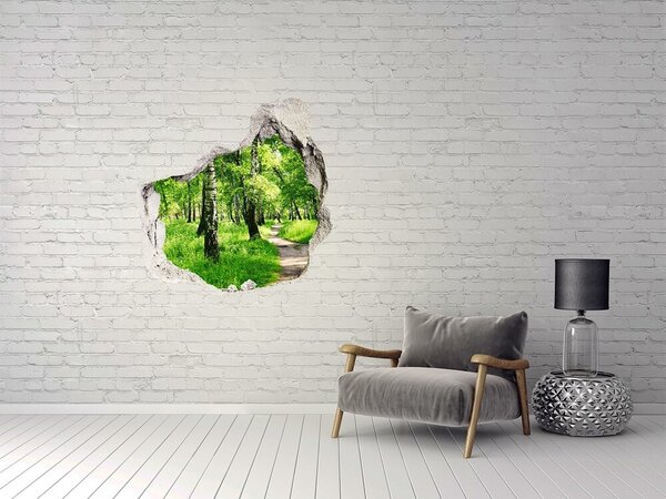 Nálepka fototapeta 3D výhled Břízový les nd-p-78692232