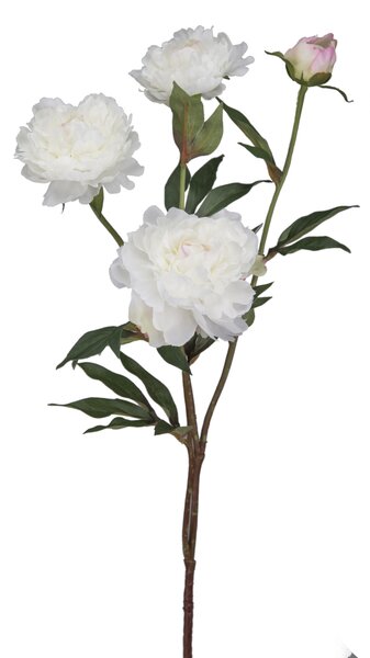 Animadecor Umělá květina - Pivoňka bílá 3 květy s poupětem 70cm