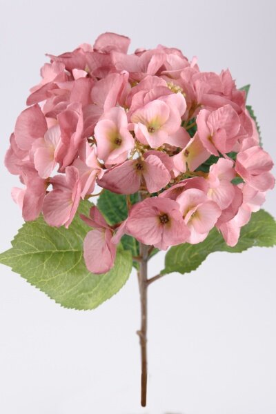Animadecor Umělá květina - Hortenzie růžová 40cm