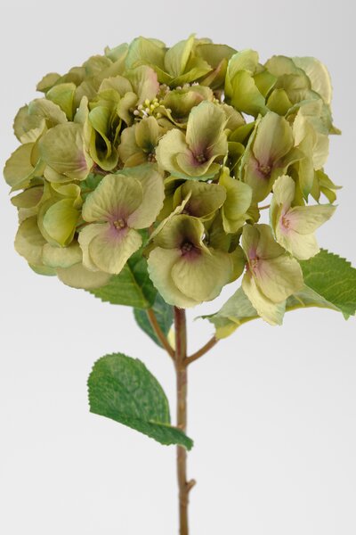 Animadecor Umělá květina - Hortenzie zelenkavá 45cm