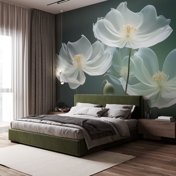 Fototapety Bílé jemné květy s průsvitnými okvětními lístky, Fototapety 3D, Fototapety 3d květiny, w03647 : uwalls.cz