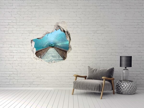 Fototapeta díra na zeď 3D Tunel akvárium nd-p-82197217
