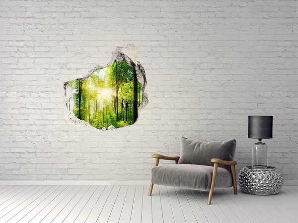Nálepka fototapeta 3D výhled Les slunce nd-p-82972458