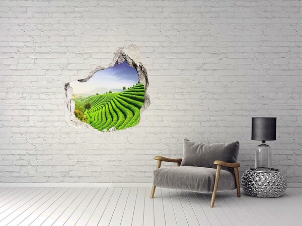 Nálepka fototapeta 3D Plantáž čaje nd-p-83004057