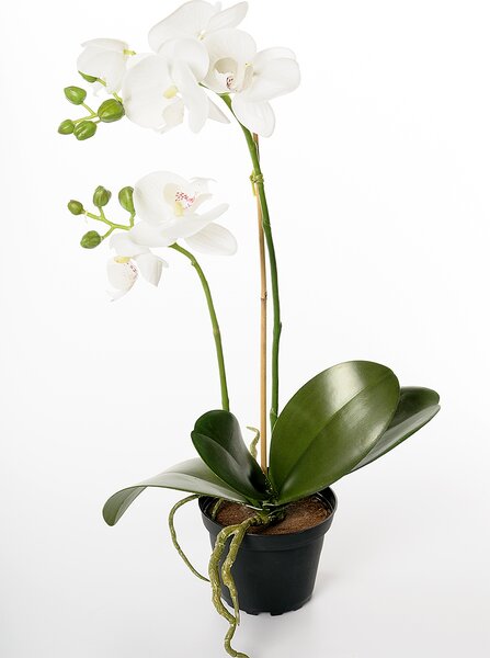 Animadecor Umělá květina - Orchidea v květináči bílá 45cm