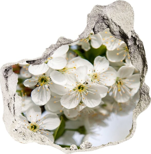 Samolepící díra nálepka Květy višně nd-p-85335086