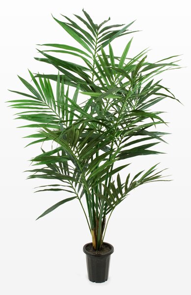 Animadecor Umělá dekorace - Okrasná palma 120 cm