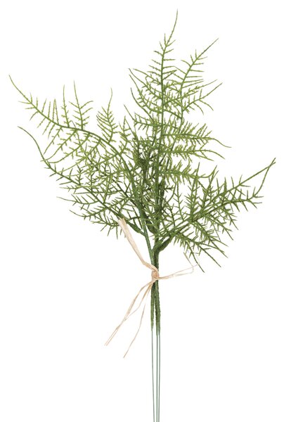 Animadecor Umělá dekorace - Asparágus 3 větvičky 35cm