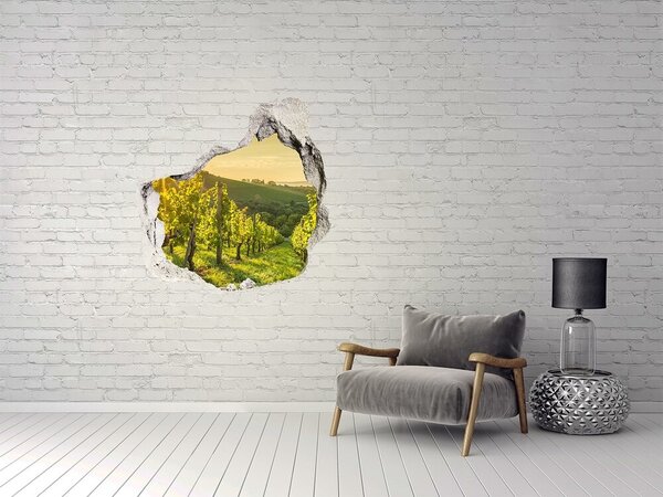 Nálepka fototapeta 3D výhled beton Vinice v Porto nd-p-90317015