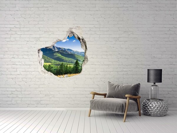 Nálepka fototapeta na zeď Skokanský můstek Tatry nd-p-91165762