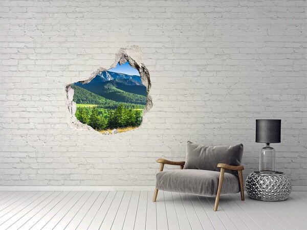 Nálepka fototapeta 3D Skokanský můstek Tatry nd-p-91165777