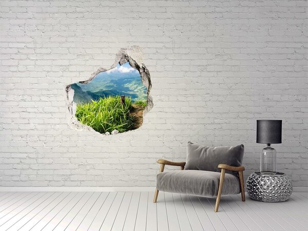 Nálepka fototapeta 3D na zeď Stezka na vrcholku nd-p-91416067