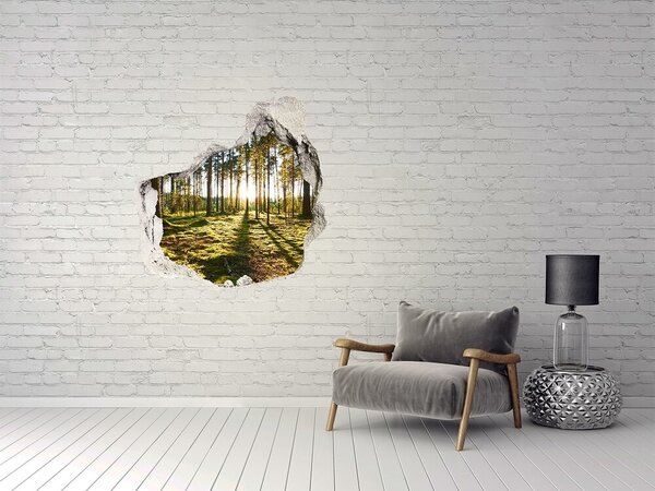 Nálepka fototapeta 3D na zeď Sosnový les nd-p-92027264