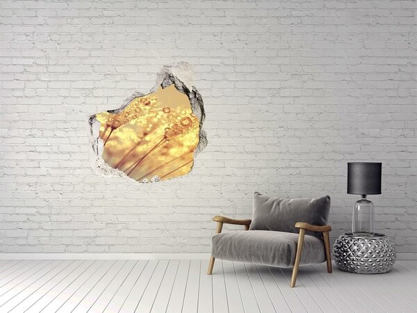 Nálepka 3D díra na zeď Semena pampelišky nd-p-93546051