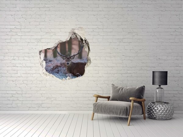 Díra 3D foto tapeta nálepka Jelen východ slunce nd-p-94032190