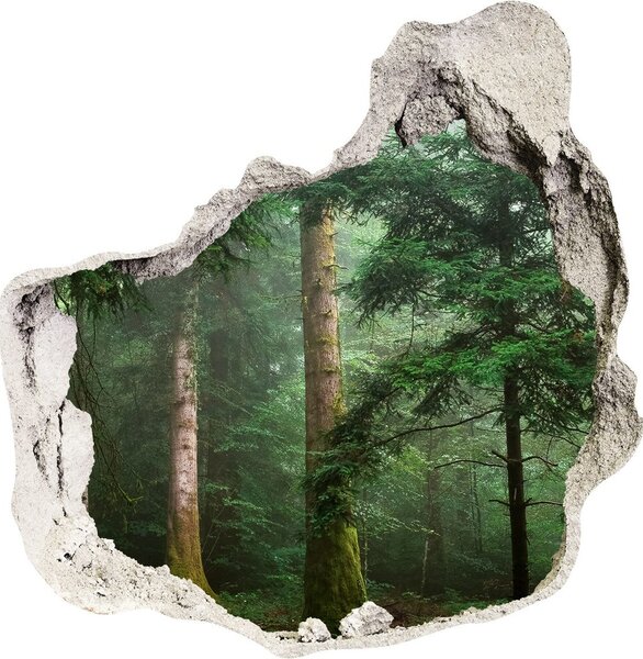 Díra 3D foto tapeta nálepka Mlha v lese nd-p-95330664