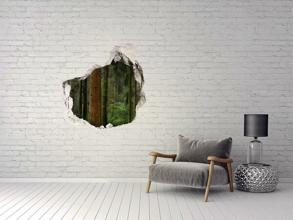 Fototapeta díra na zeď Mlha v lese nd-p-95353064