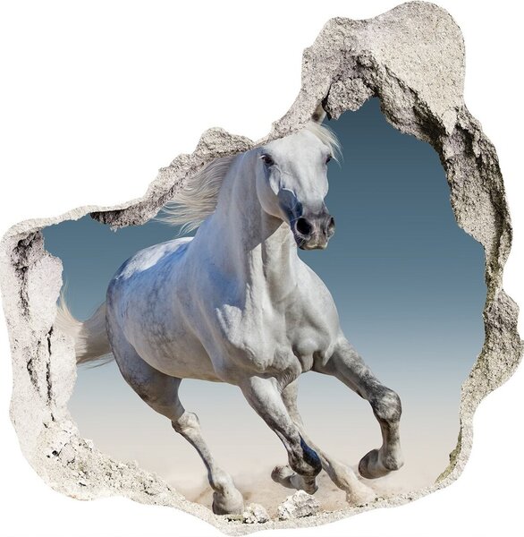 Fototapeta díra na zeď Bílý kůň ve cvalu nd-p-95257889