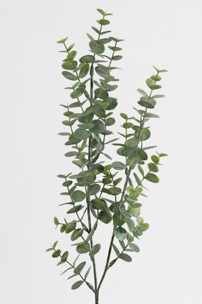 Animadecor Umělá květina - Větvička Eukalyptus 73cm