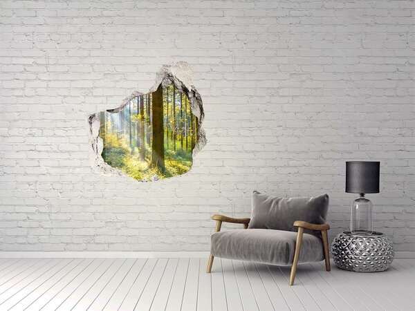 Fototapeta díra na zeď Les slunce nd-p-98252702