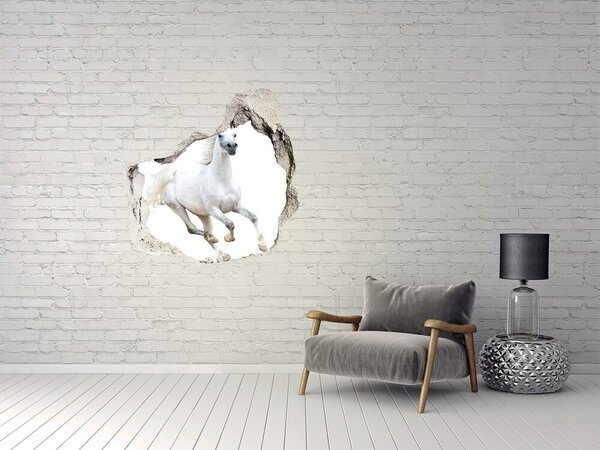 Fototapeta díra na zeď Bílý arabský kůň nd-p-99028092