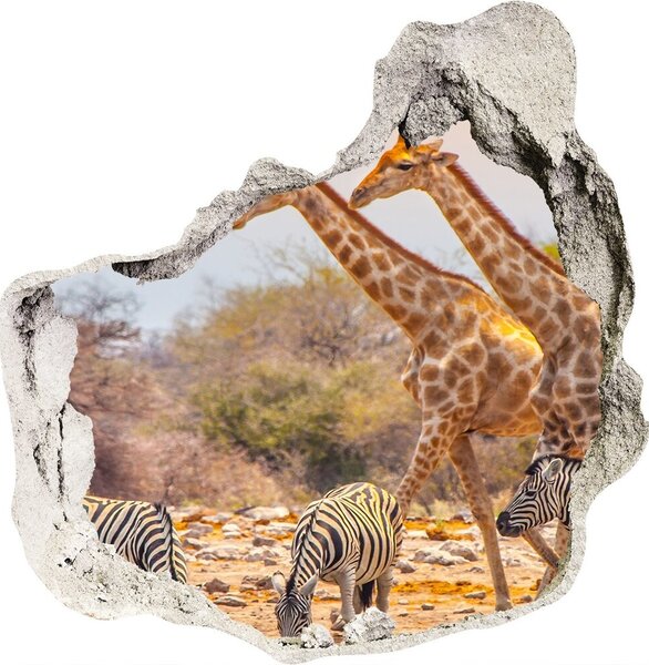 Díra 3D fototapeta nálepka Žirafy a zebry nd-p-99320619