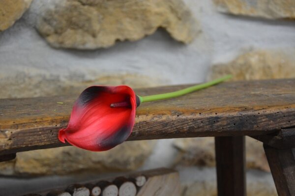 CERINO Umělá květina Kala 37cm červená